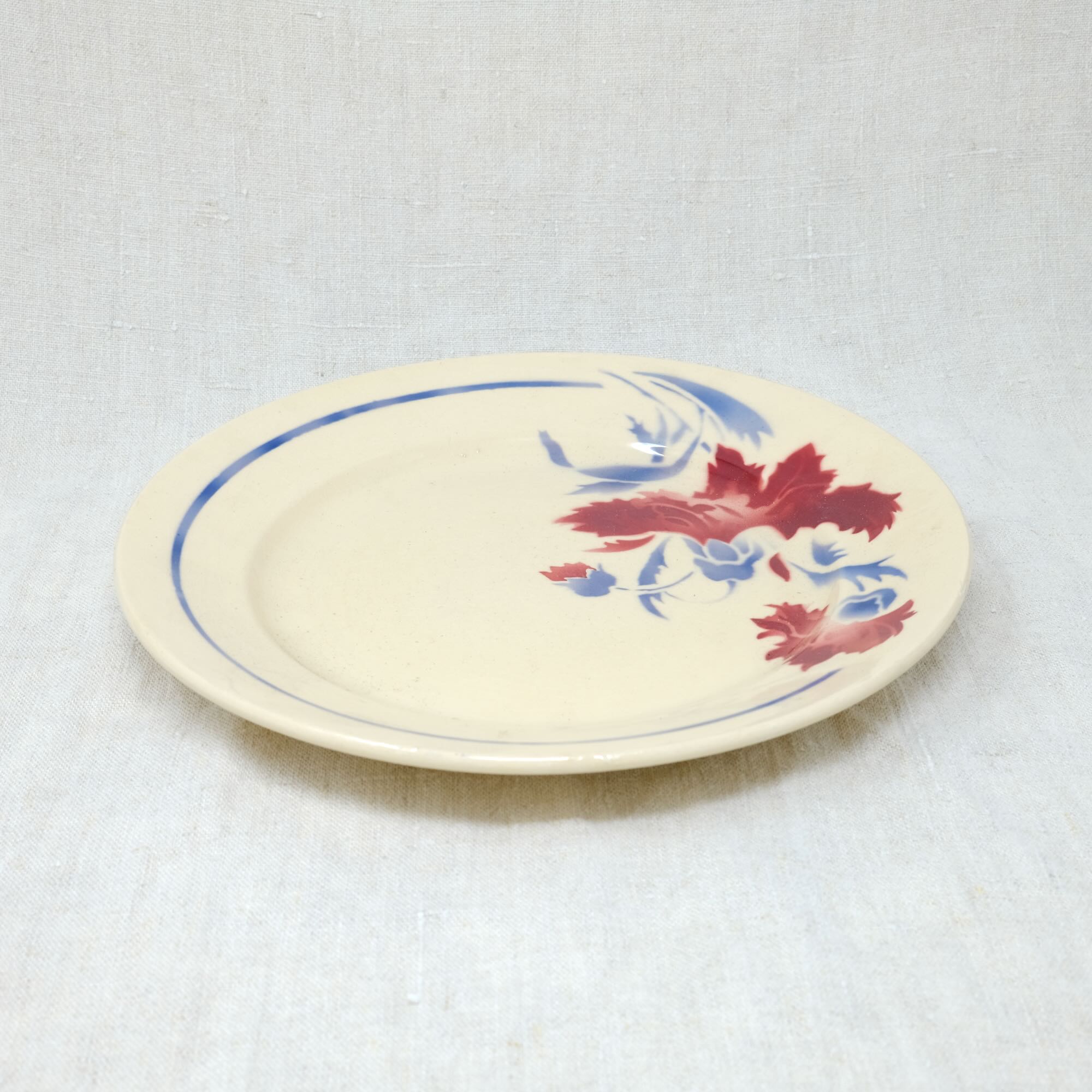 Blue circled red flower plate